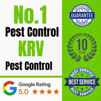 Pest Control Service